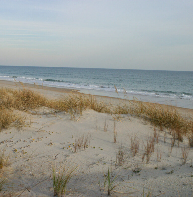 Sand dunes and the ocean at Ocean Isle Beach