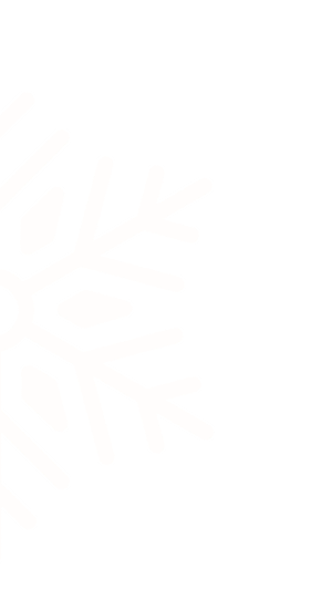 Snow flake graphic